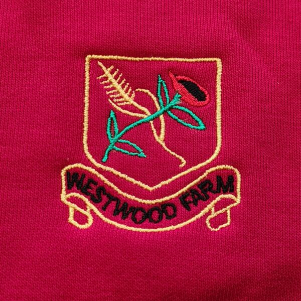 Westwood Farm Schools Federation Thumbnail