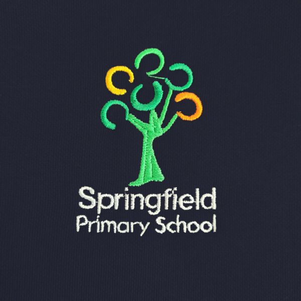 Springfield Primary School Thumbnail
