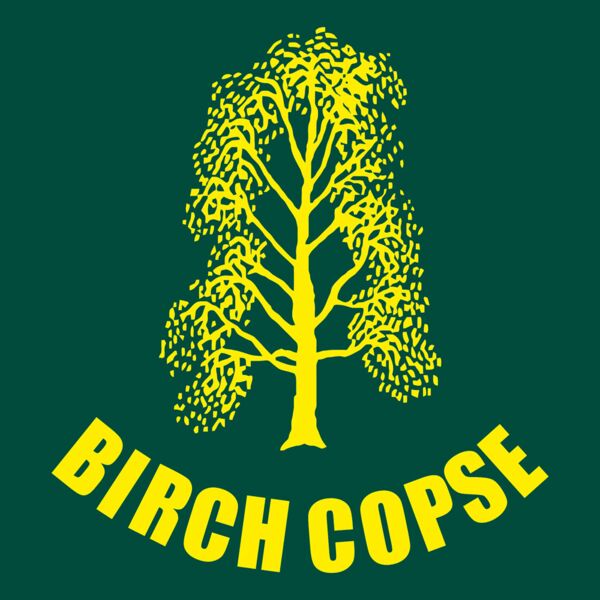 Birch Copse Primary School Thumbnail