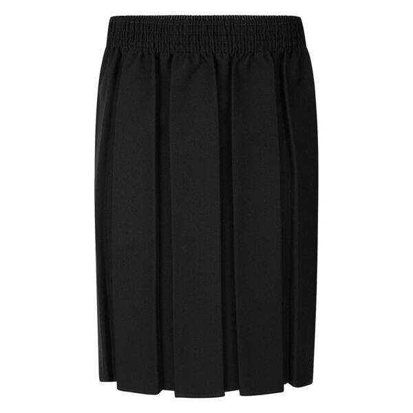 Black Box Pleat Skirt Thumbnail