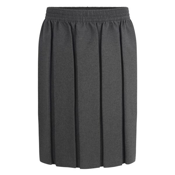 Grey Box Pleat Adult Skirt Thumbnail