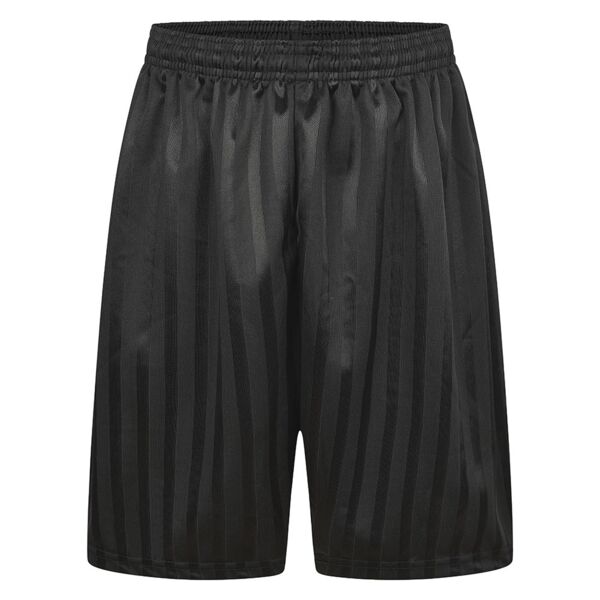 Shadow Stripe Black PE Shorts Thumbnail