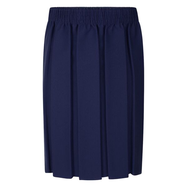 Navy Blue Box Pleat Skirt Thumbnail