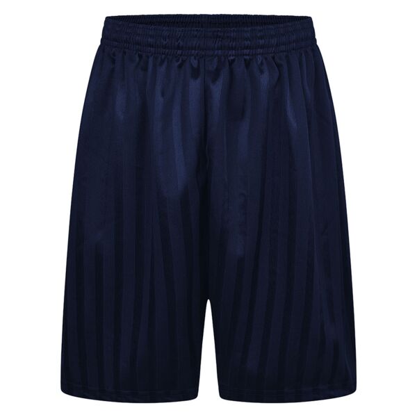 Shadow Stripe Navy Blue PE Shorts Thumbnail