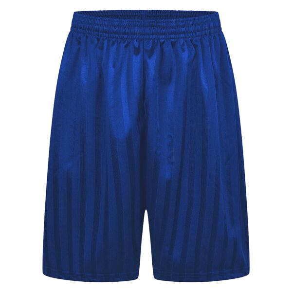 Shadow Stripe Royal Blue PE Shorts Thumbnail