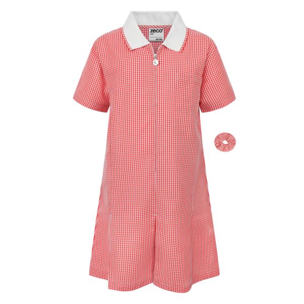 A-Line Red Gingham Eco-Dress Thumbnail