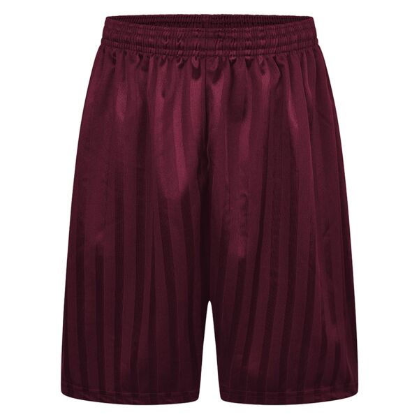Shadow Stripe Maroon PE Shorts Thumbnail